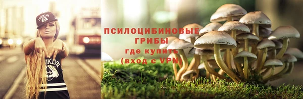 бутират Алексин