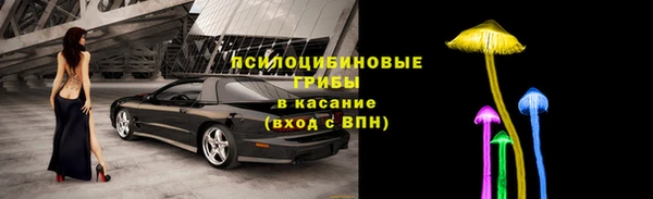 прущие крисы Алексеевка
